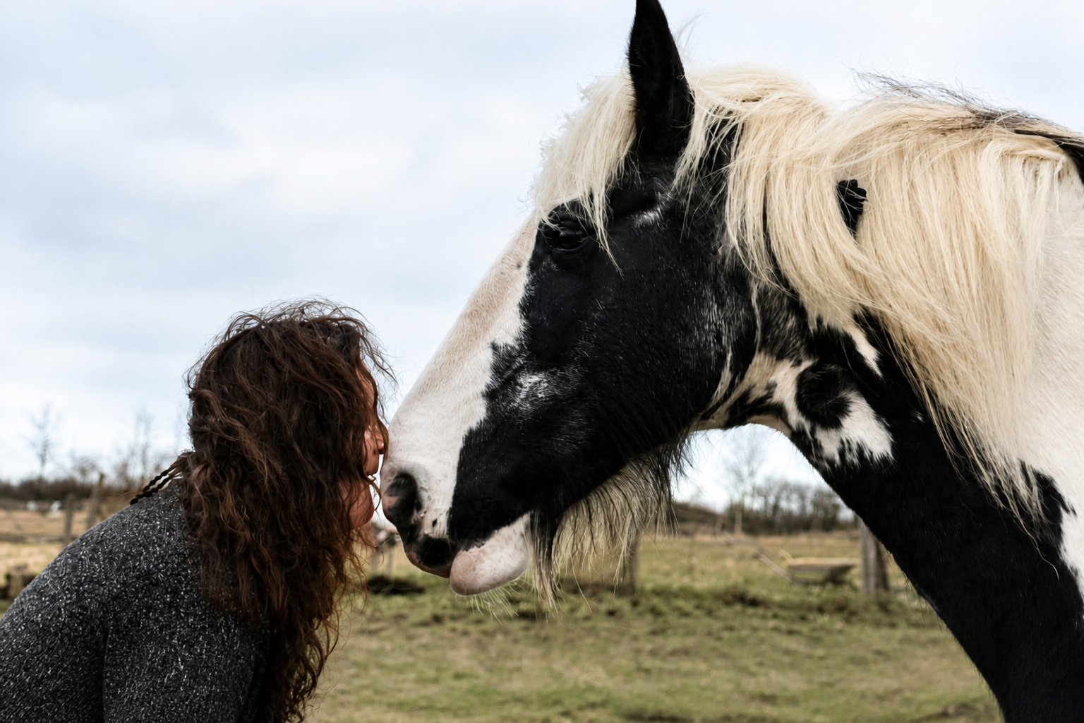 Jane and Bali touching noses in the meadow